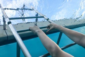 The Swimming Pool by Leandro Erlich in 21st Century Museum Kanazawa